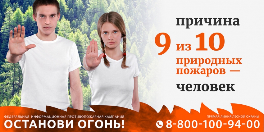 Изображение: Комитет по природным ресурсам Ленинградской области (далее - Комитет) информирует